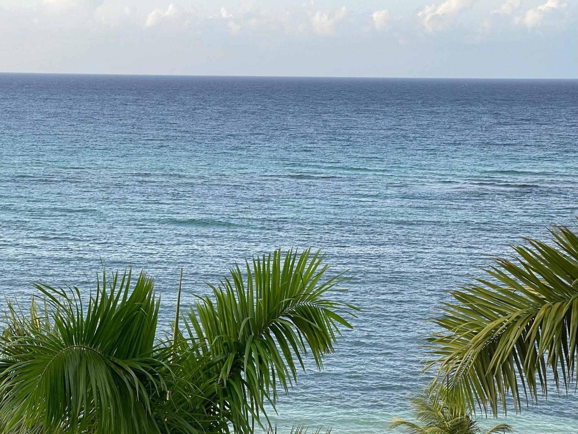 Marriott Seacastles E22, Montego Bayアパートホテル エクステリア 写真