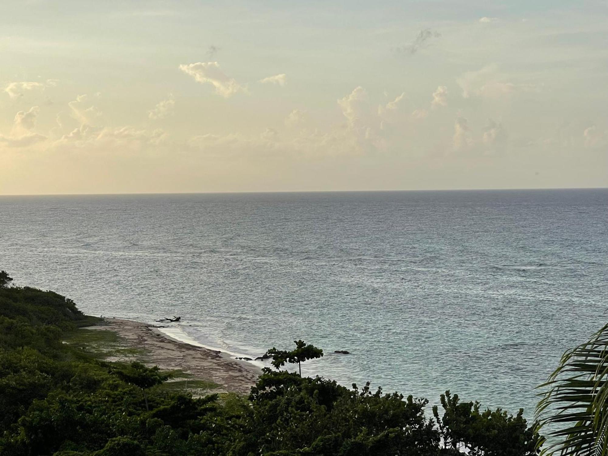 Marriott Seacastles E22, Montego Bayアパートホテル エクステリア 写真